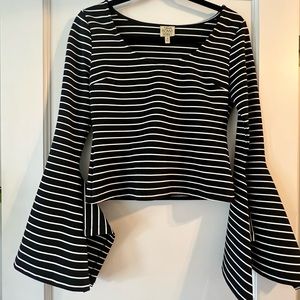 Bell Sleeve Stripe Blouse